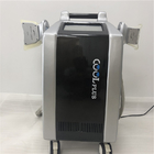 Cryolipolysis Yağ Donma Makinesi Cryo Güzellik Ekipmanları, 4 Kolları ile Yağ Kaybı Makinesi Zayıflama Makinesi
