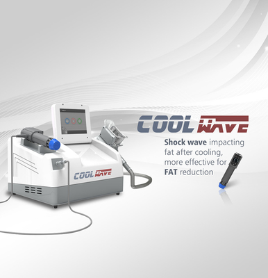 Kilo Kaybı Kompakt Boyut için Mobil Cryolipolysis Yağ Dondurma Makinesi