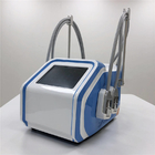 Hafif Taşınabilir EMS Fizyoterapi Makinesi, Ev Cryolipolysis Makinesi