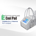 Cryolipolysis Yağ Donma Makinesi Elektrikli Muslce Stimülasyon Makinesi Kilo Kaybı İçin Güzellik Makinesi