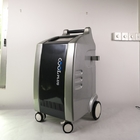 Yeni Yağ Dondurucu Cryolipolysis Çene Tedavisi Çift Cryo Makinesi 4 Kolları Kanal Serin Vücut Yağ Dondurucu zayıflama
