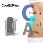 4 Kolları Çift Çene Cryolipolysis Yağ Dondurma Makinesi En İyi Fiyat Cryolipolysis Vakum Terapi Makinesi