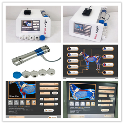 Yarış Atı İçin Veteriner Shockwave Terapi Makinesi